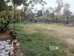 5 സെന്റ് സ്ഥലം