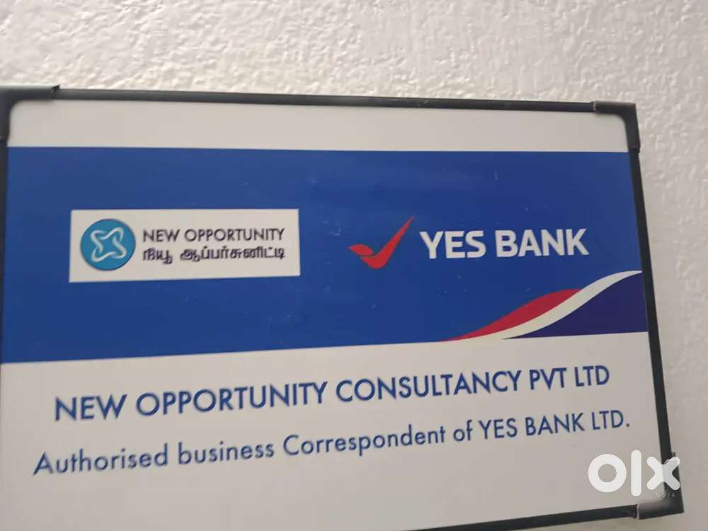 Yesbank collection excutive