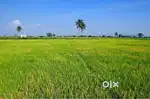 900 Gaj Farm House ke liye best Location