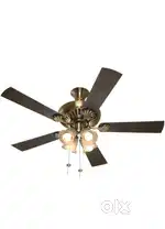 Usha Fontana fan