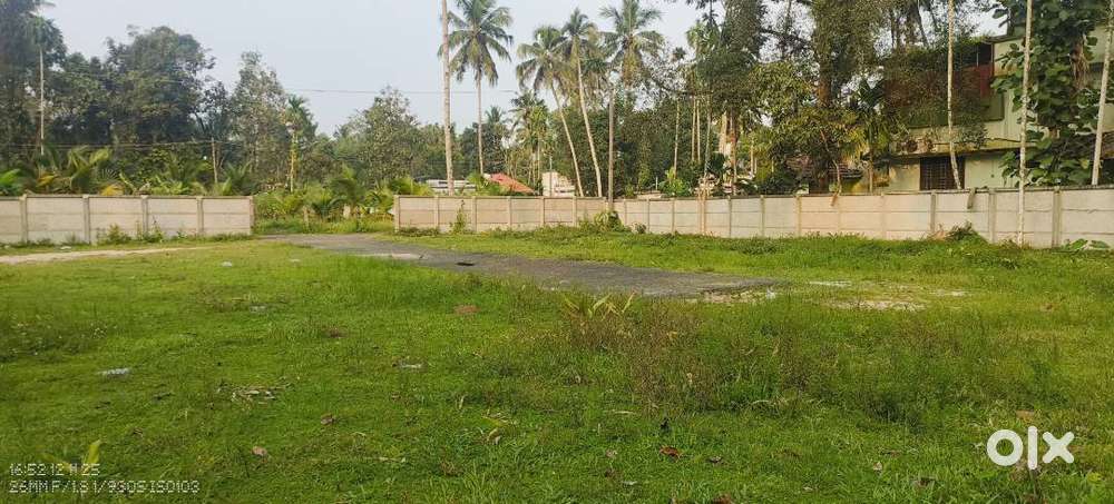 24 cents plot for sale in Chettikulangara