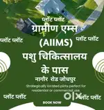 ग्रामीण AIIMS or वेटनरी colloge ke samne JDA patta Sudha colony