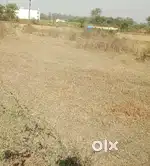 Arjent sell ,