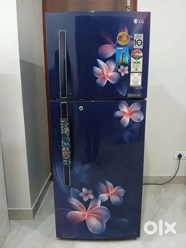 LG Double Door Fridge 234L– Excellent Condition, 10-Year Warranty