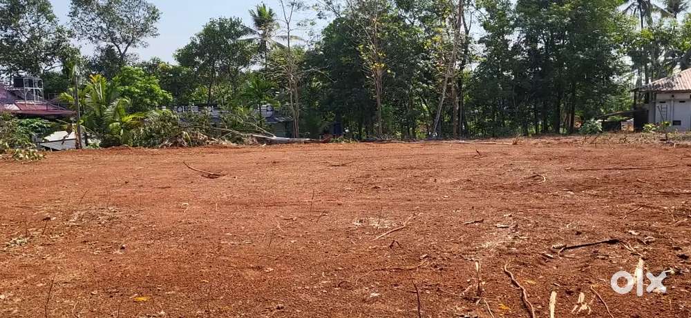 Prime House plot for sale in Pampakuda
