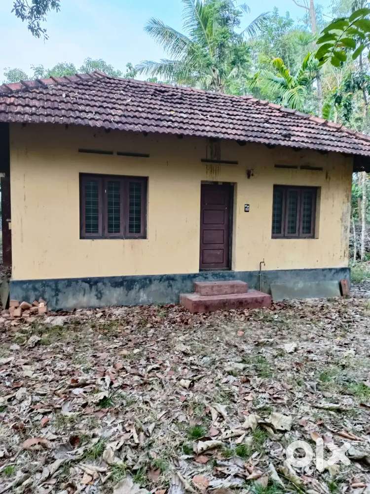 ആലപ്പുഴ ജില്ലയിൽചേർത്തലതാലൂക്കിൽ 40 സെന്റ് സ്ഥലം മൊത്തമായി വില്പനക്ക്