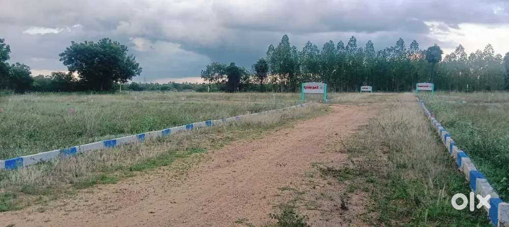 Trichy to Dindigul NH ரோட்டுமீது Samuthiram