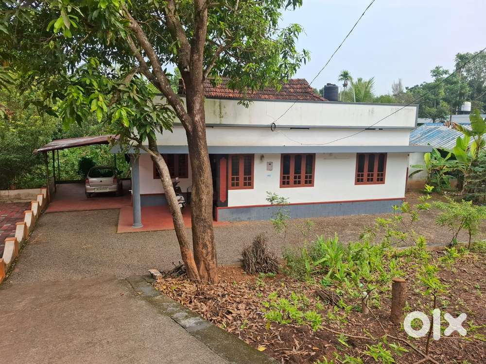43 cent land including 3 bhk House for sale near Aluva, Purayar