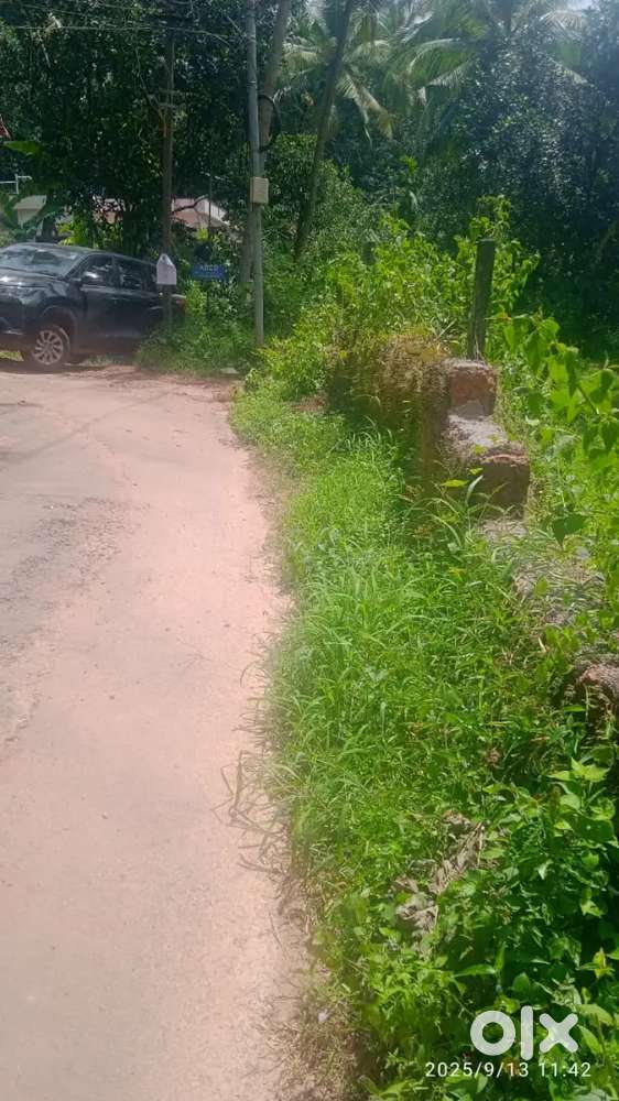 Chelannoor7/6 ten cnt house plot for sale.nissan site