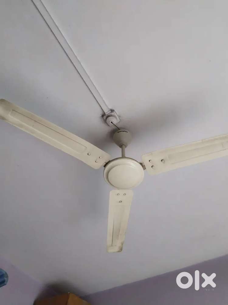 Ceiling fans