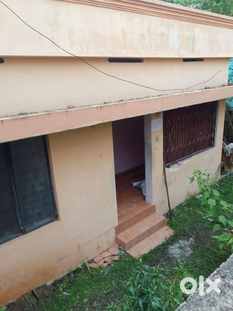 House for rent