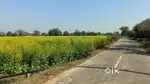 Agriculture Land Sale- 3.75 વીઘા (90 ગુઠા) રોડ ટચ ખેતર..ટાઇટલ ક્લિયર.