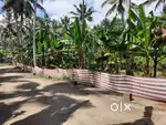 25 Cents Residential Plot for Sale
