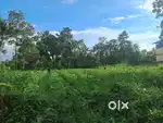30 cent house plot for sale in kanjoor,near airport,aluva,land sal