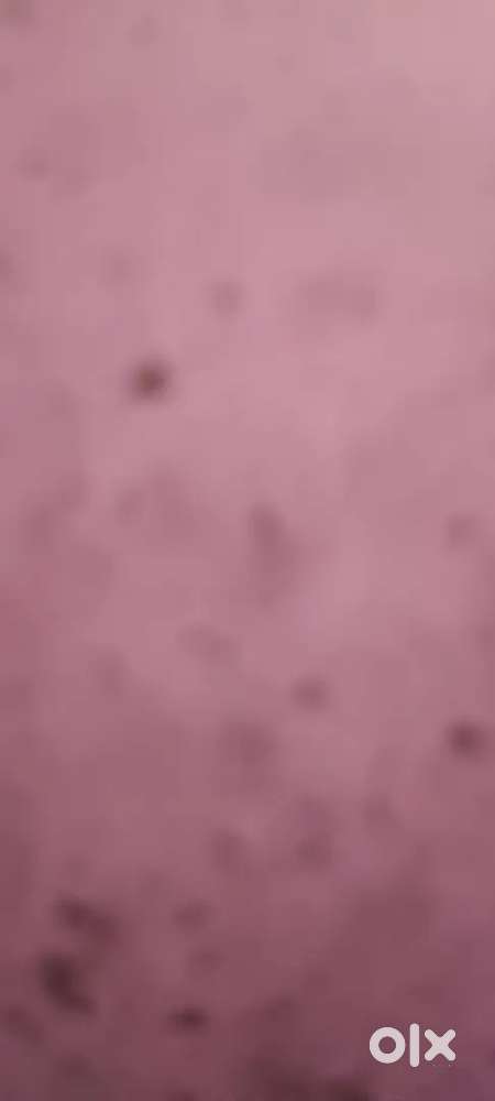 Open land South West corner for rent @ 20k