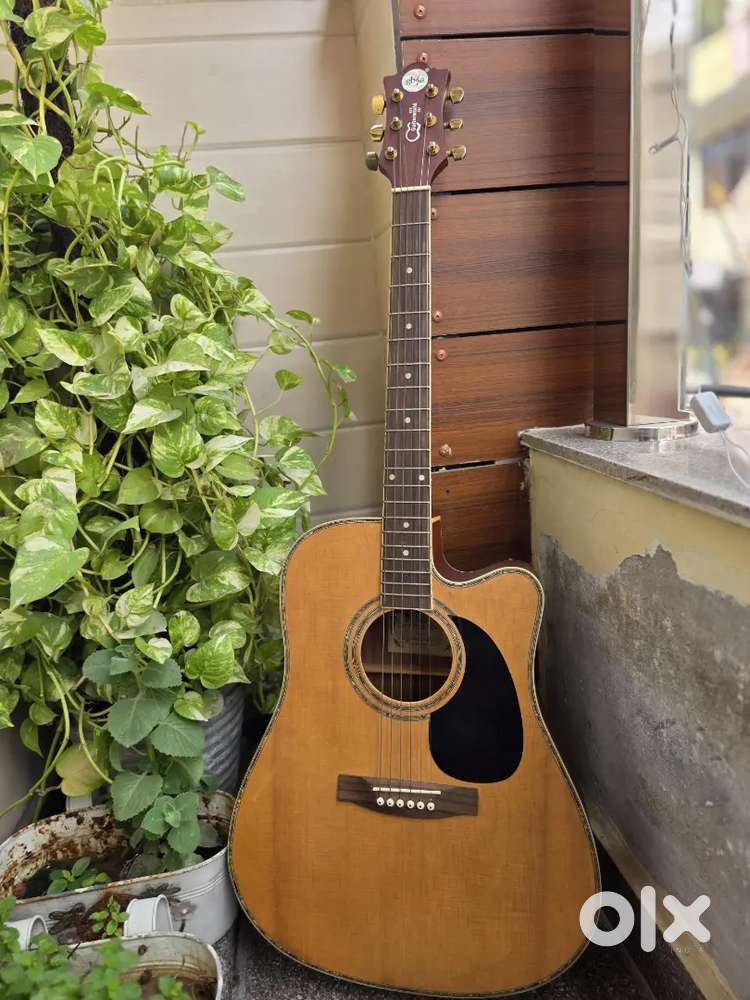 GB&A Acoustic Guitar – Excellent Condition (Great Value!)
