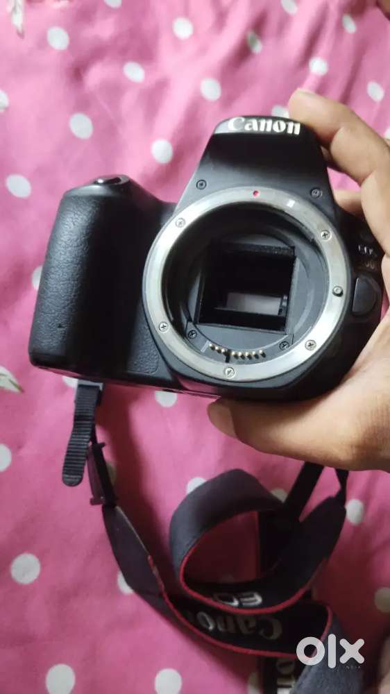 Canon dslr