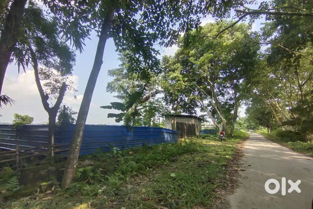 1 bigh 2 kotha .. aiims 5km.. highway 1km