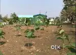 Plots are available