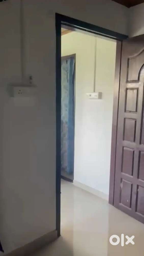 Looking for a roommate