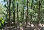 പൂതാടി പഞ്ചായത്തിൽ 44 സെൻ്റ് റബർ തോട്ടം വിൽപ്പനയ്ക്ക്
