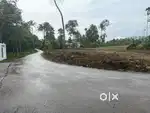 INFOPARK KAKKANAD 9 KM 10/20 CENTS PAZHAMTHOTTAM PUTHENCRUZ AREA