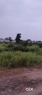 PRIME INVESTMENT OPPORTUNITY! HIGHWAY TOUCH PLOT IN DATTAPUR, WARDHA