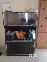 System table with shelf