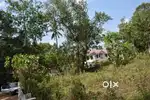 Residential land 9.5 cents for sale at Thiruvalla, Kizhakkan Muthoor a