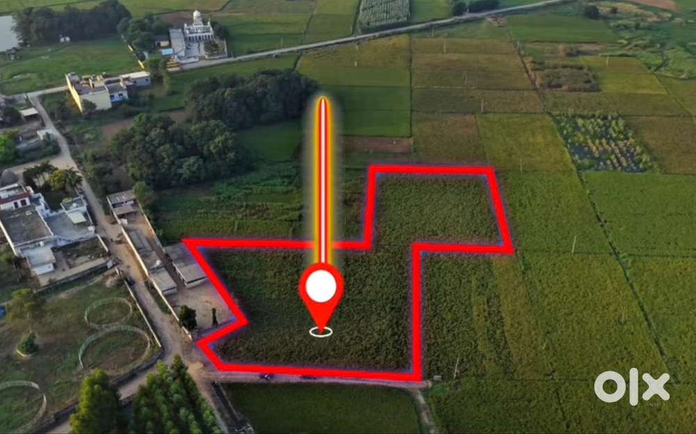 12.5 kanal agriculture land for sale in Mohali village Patran