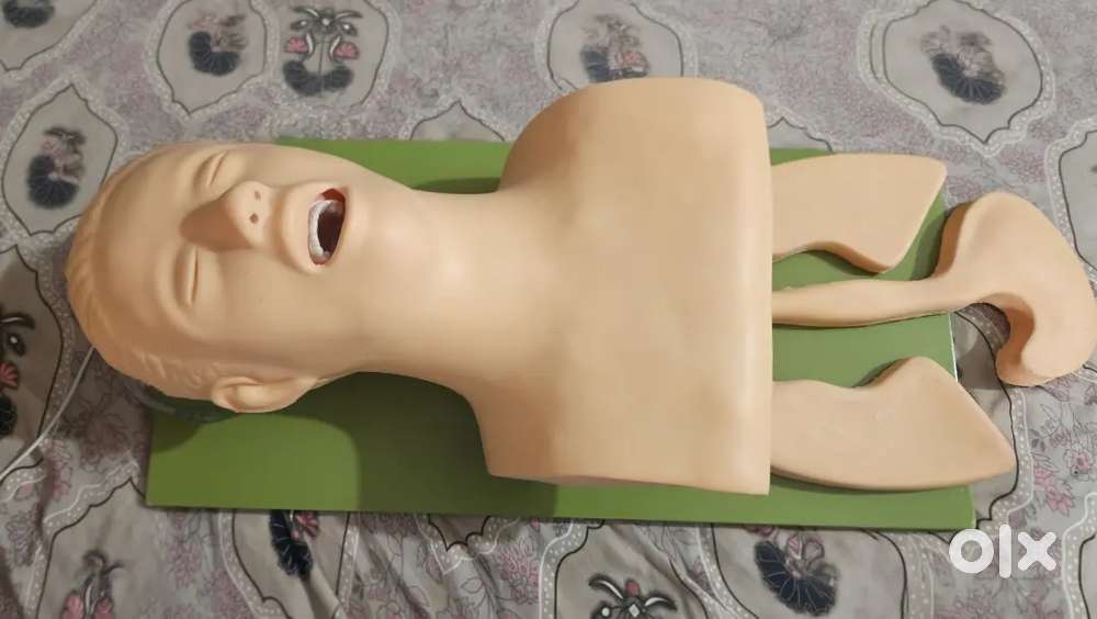 BLS Airway mannequin