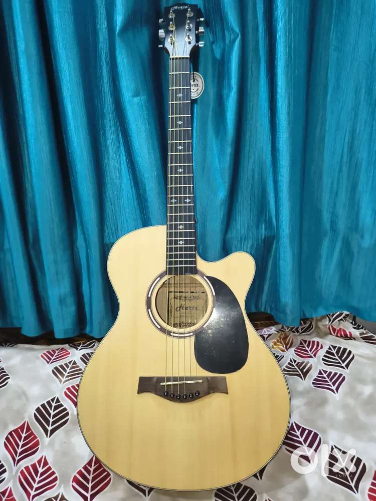 Guitar of Hertz model no HZ A4010N