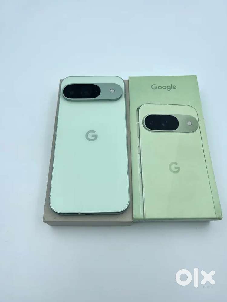 Google Pixel 9 256GB/12GB Wintergreen (Full Kit - 5 Months Old)