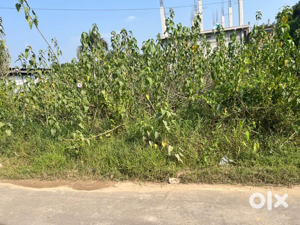 Reshambagan 2 gonda and 2.5 gonda plot kore sale