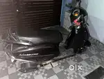 Maestro hai