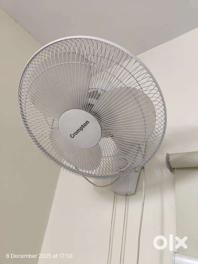 Wall mount fan