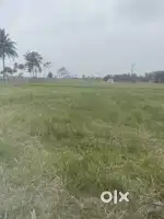 3 acer 8 cents agricultural land for sale