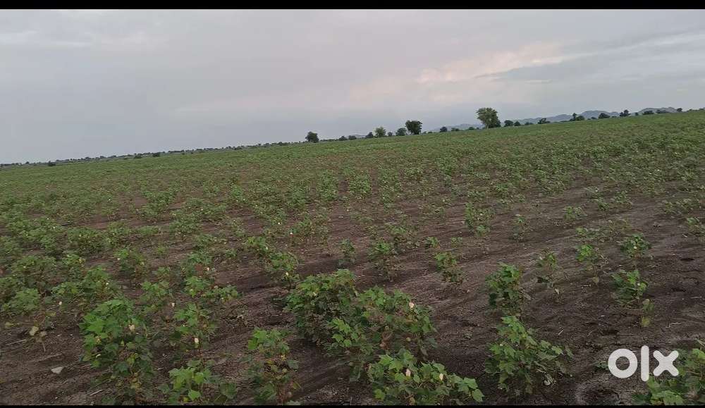 Agriculture land for sale