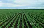 Agricultural land with full water