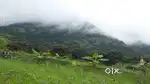 MAYAKANNA REAL ESTATE