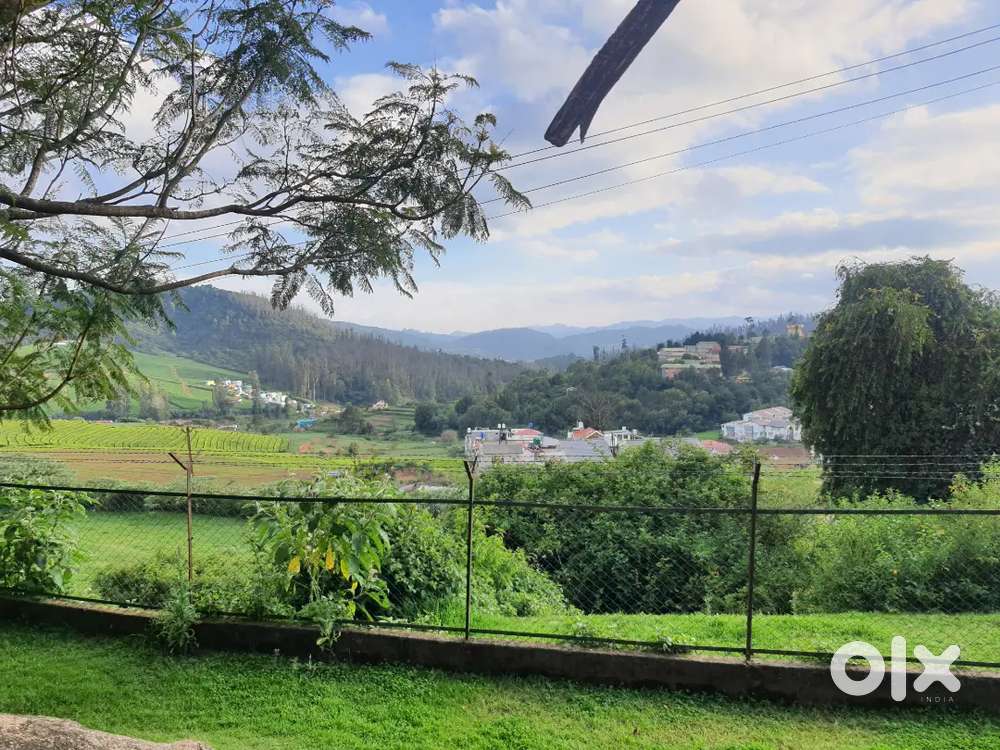 4 acre agricultural land for sale Rs. 50 Laksh.