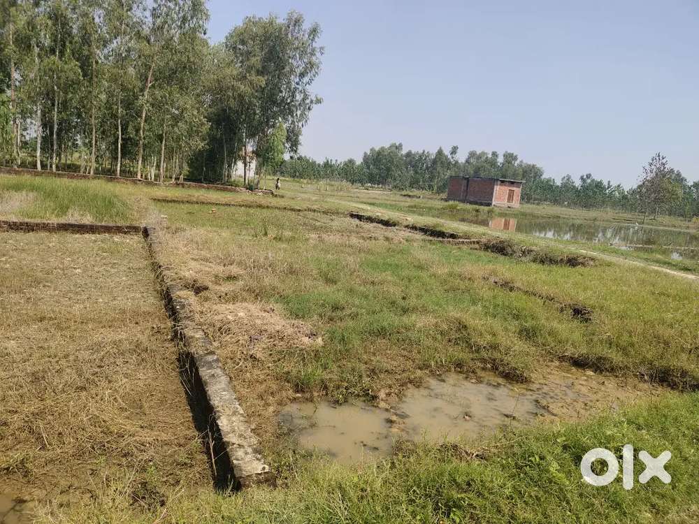 Arjent sell double road double fred ka plot