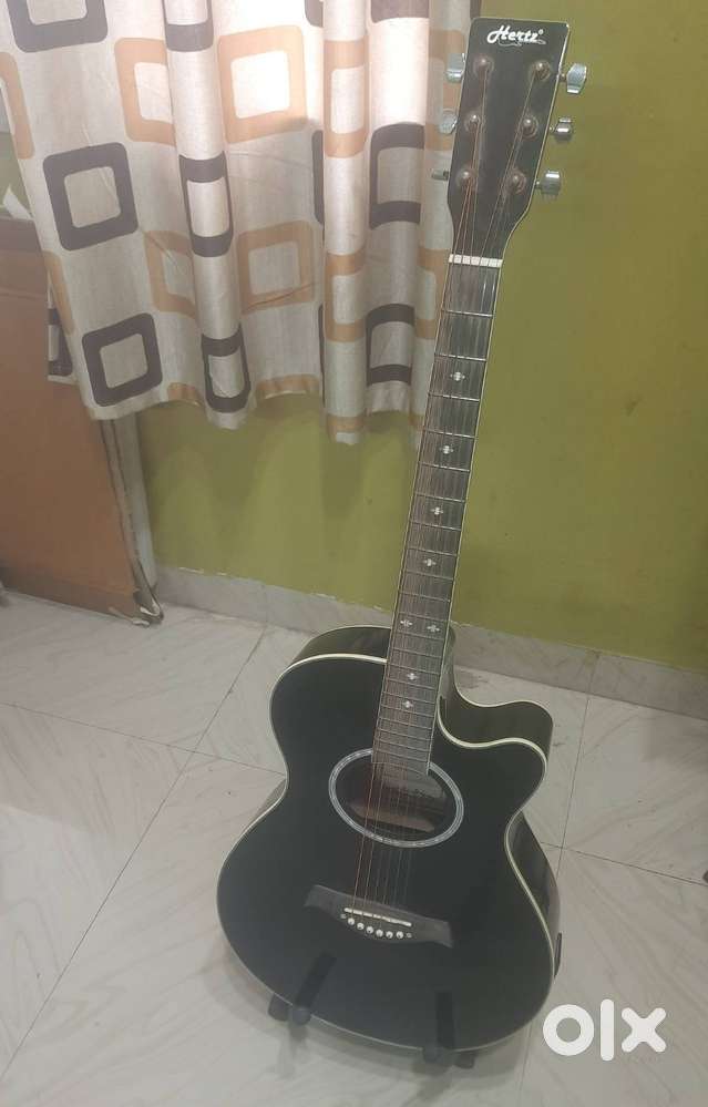 Sound of Heaven... Hertz Model HZA6000 Semi Acoustic Guitar
