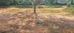 37.5 Cents Residential Land in Porkodi Bajpe Mangalore