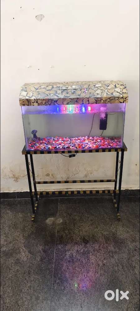 Fish tank and dc table