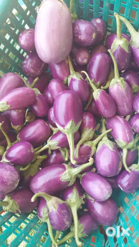 Wanted lady staff for sales