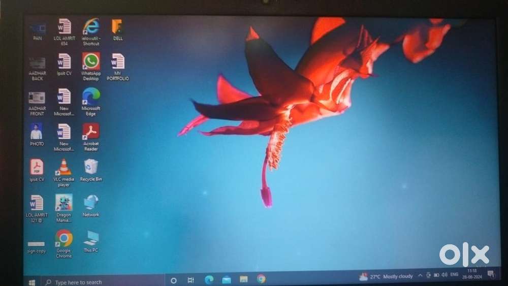 Dell Latitude 3500 4/1TB intel laptop