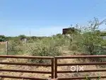 30*50 plot for sale