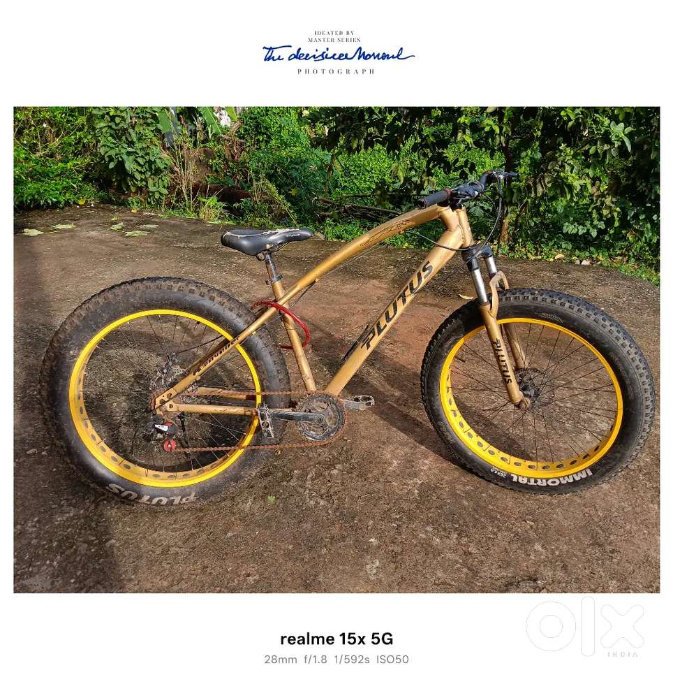 Jaguar plutus fatbake