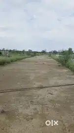 Bilaspur RTO se 750 meter per Nali-CC road 25 FEET Bijli khamba laga h